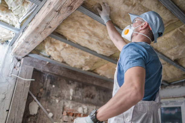 Best Insulation Removal  in Van Horn, TX