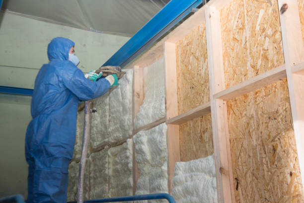 Best Insulation Inspection Services  in Van Horn, TX